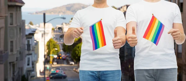 Mannelijke paar met gay pride vlaggen tonen duimen omhoog — Stockfoto