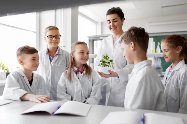 Alunos e professor com planta na aula de biologia — Fotografia de Stock