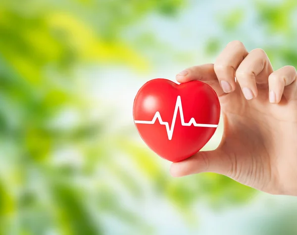 Close up of hand holding red heart with cardiogram — Stock Photo, Image