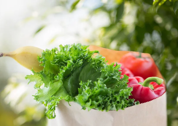 Закрытие бумажного пакета с овощной пищей — стоковое фото