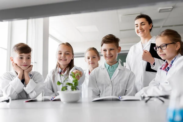 Alunos e professor com planta na aula de biologia — Fotografia de Stock