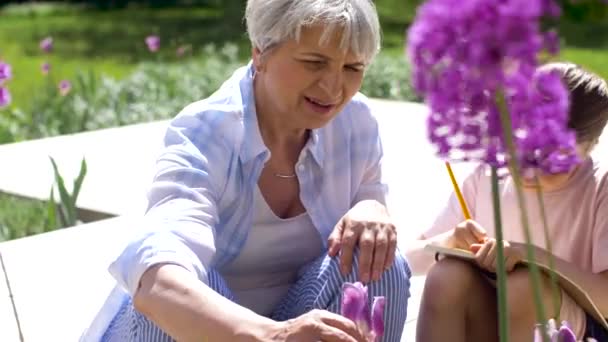 Avó e menina estudar flores no jardim — Vídeo de Stock