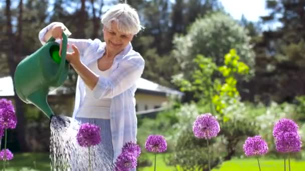 Senior kvinna vattna blommor på sommaren trädgård — Stockvideo