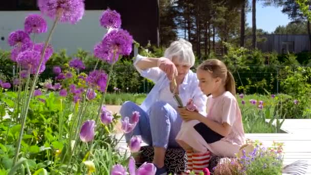 Abuela y niña plantando flores en el jardín — Vídeos de Stock