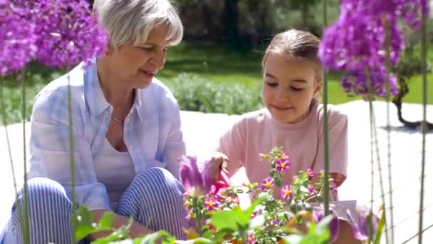 Großmutter und Mädchen pflanzen Blumen im Garten — Stockvideo