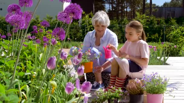 Großmutter und Mädchen pflanzen Blumen im Garten — Stockvideo