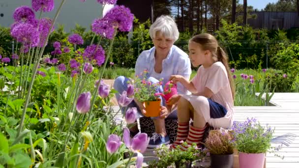 Бабушка и девочка сажают цветы в саду — стоковое видео