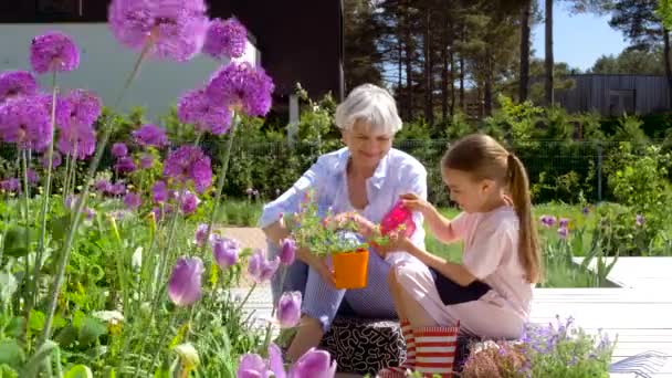 Бабушка и девочка сажают цветы в саду — стоковое видео