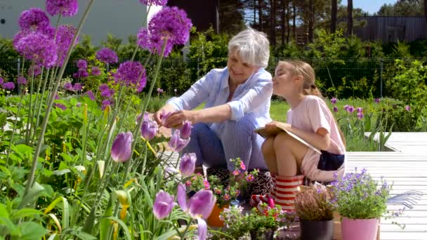 Abuela y niña estudio flores en el jardín — Vídeo de stock