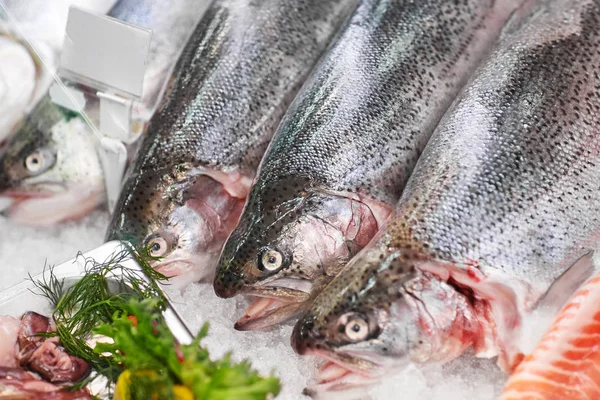 Pescado fresco sobre hielo en el puesto de comestibles —  Fotos de Stock