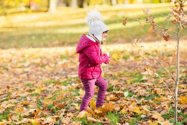 Menina feliz com folha de bordo no parque de outono — Fotografia de Stock
