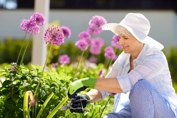 Mulher sênior com poda de jardim e flores de allium — Fotografia de Stock