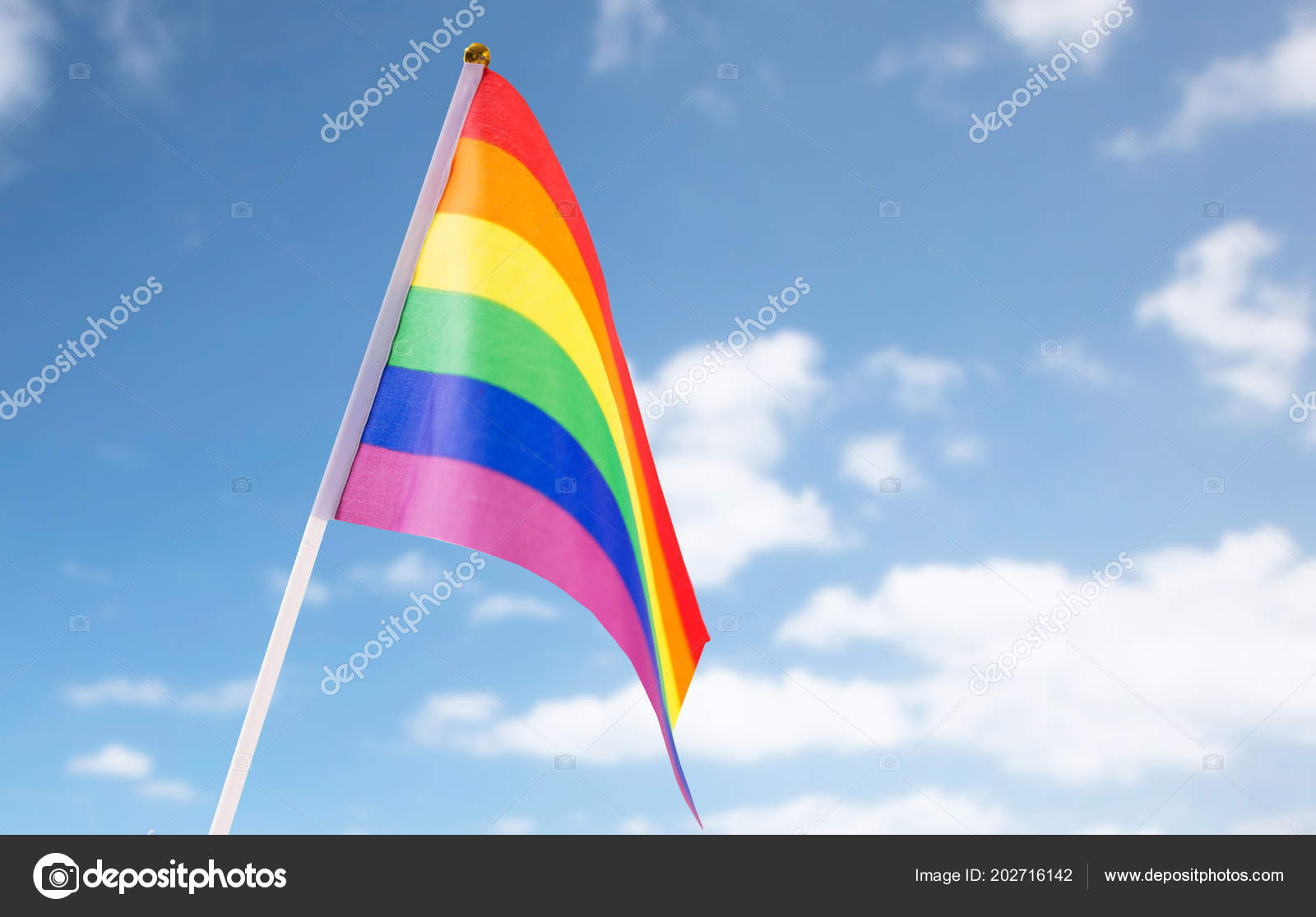 Радужный Флаг Над Рейхстагом Фото