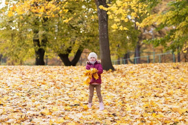快乐的女孩在秋天的公园里玩树叶 — 图库照片