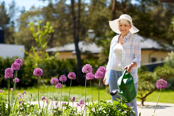 Mulher sênior regando flores de allium no jardim — Fotografia de Stock