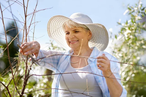 Mulher sênior com poda de jardim e flores — Fotografia de Stock