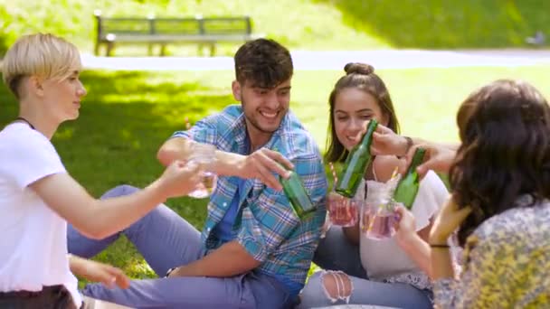 Amigos felices tintineando bebidas en el parque de verano — Vídeo de stock