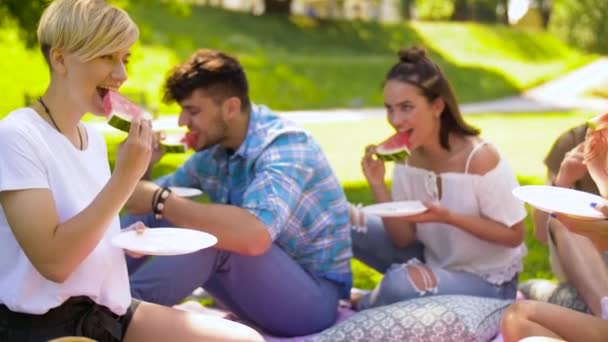 Happy friends eating watermelon at summer picnic — Stock Video