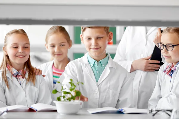 Studenten en docenten met plant bij biologie klasse — Stockfoto