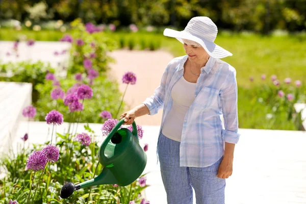 Seniorin gießt Alliumblumen im Garten Stockbild
