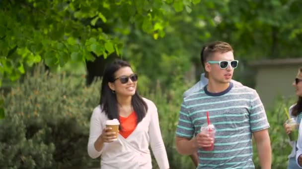 Amis boire du café et du jus de marche dans le parc — Video