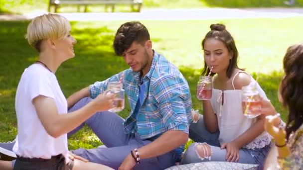 Щасливі друзі смердять напої в літньому парку — стокове відео