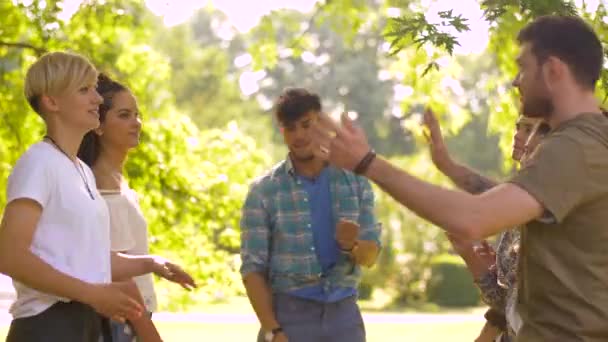 Glückliche Freunde tanzen bei Sommerfest im Park — Stockvideo