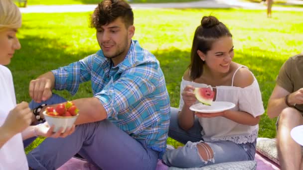 Vrienden eten van vruchten op picknick in het park van de zomer — Stockvideo