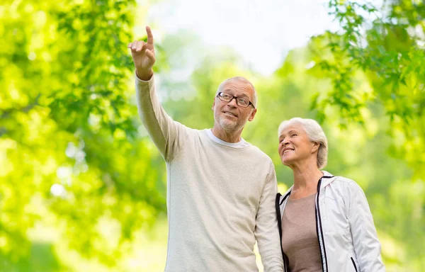 Lyckliga äldre par över grön naturliga bakgrund — Stockfoto