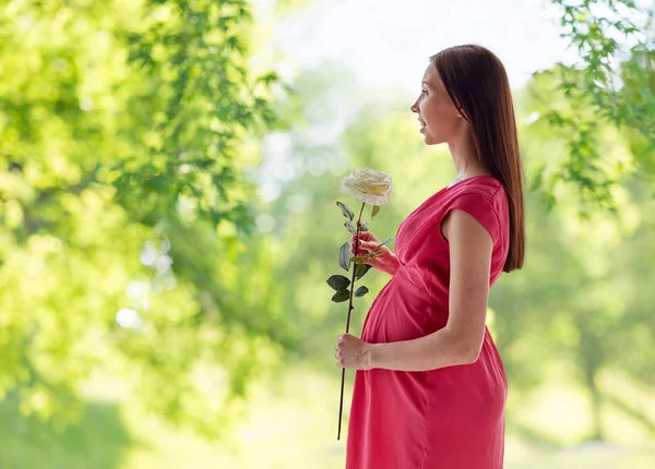 Счастливая беременная женщина с цветком розы летом — стоковое фото