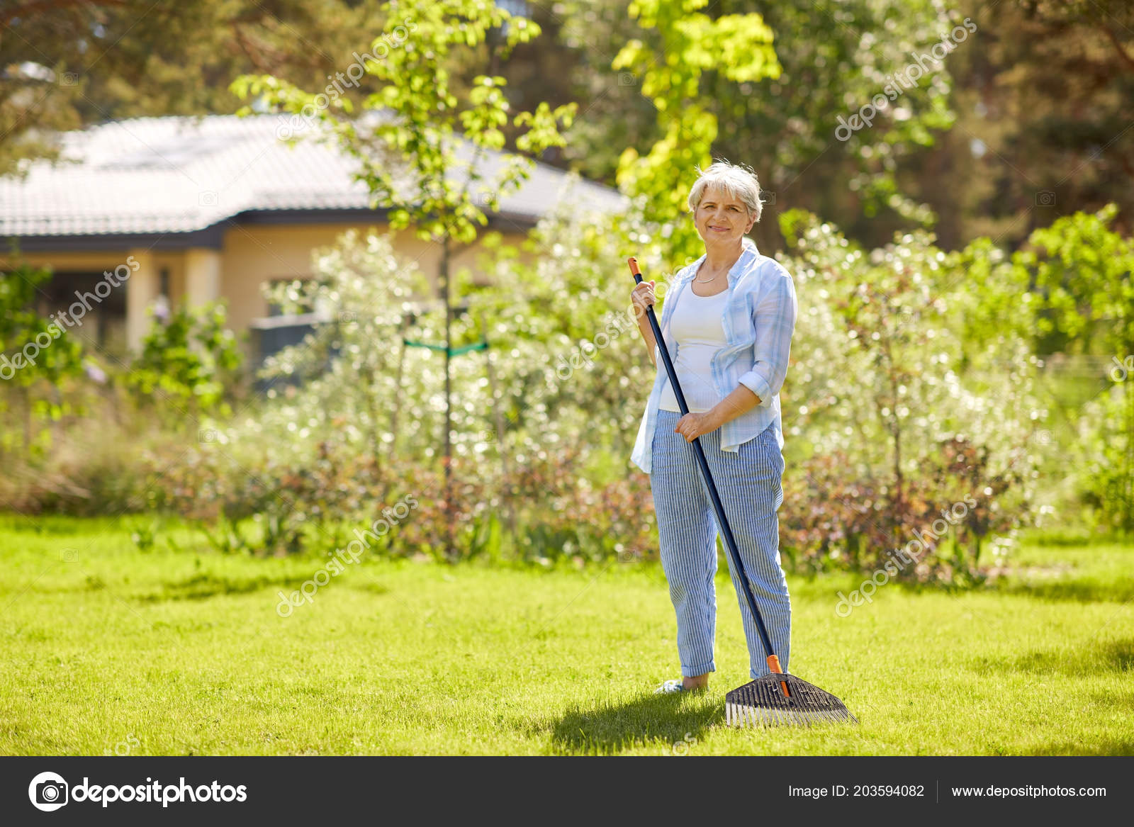 garden lawn rake