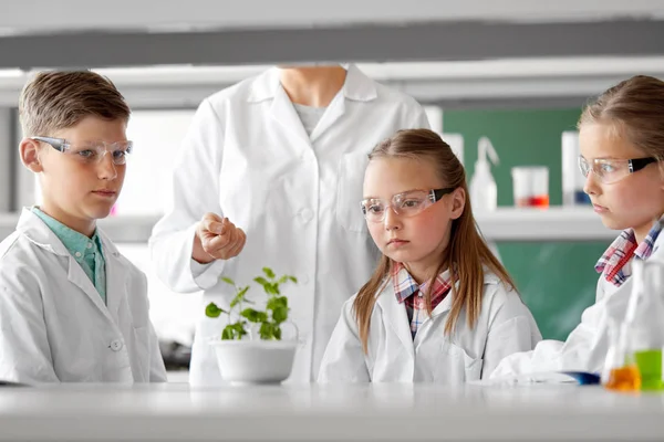 Alunos e professor com planta na aula de biologia — Fotografia de Stock