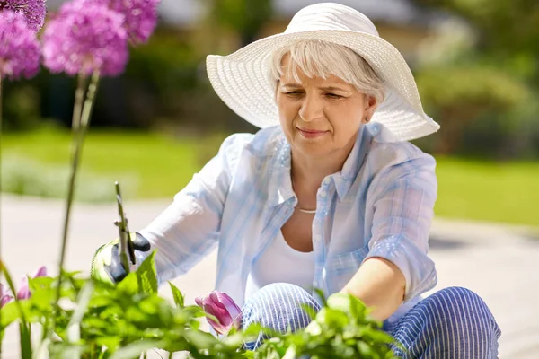 Mulher sênior com poda de jardim e flores de allium — Fotografia de Stock