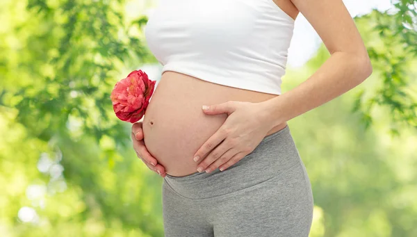 Primo piano di donna incinta su sfondo naturale — Foto Stock