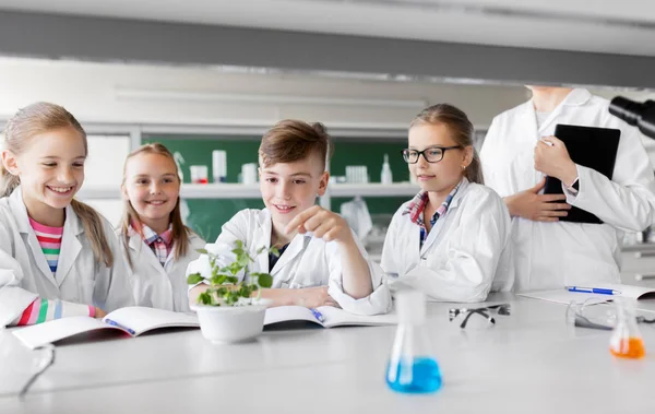 Conceito Educação Ciência Escola Crianças Alunos Com Planta Aula Biologia — Fotografia de Stock