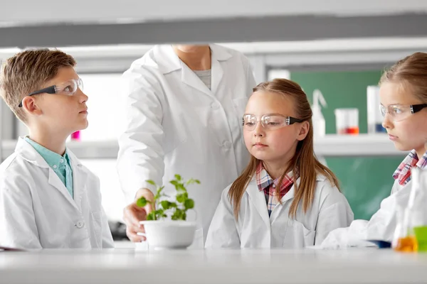 Студенты и преподаватели с растениями на уроке биологии — стоковое фото