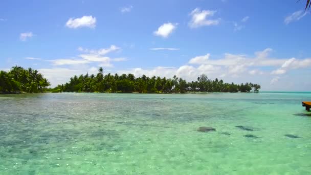 Lagune op tropisch strand in Frans-Polynesië — Stockvideo