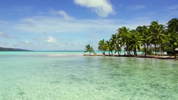 Tropisch strand met palmbomen en ligbedden — Stockvideo
