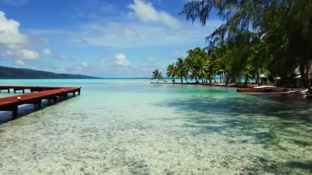 Деревянный пирс на тропическом пляже во французской Полинезии — стоковое видео