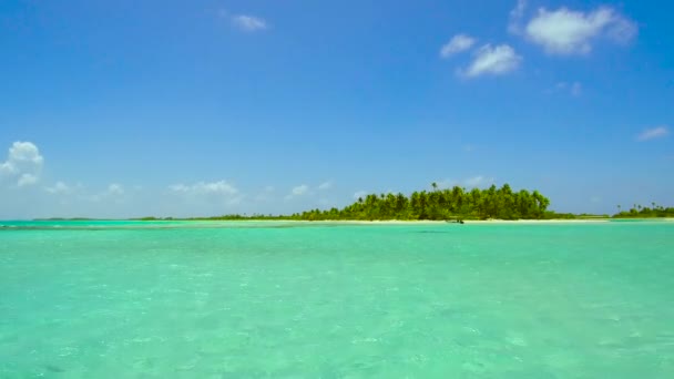 Playa isla tropical en la polinesia francesa — Vídeo de stock