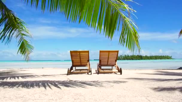 Deux chaises longues sur la plage tropicale en Polynésie française — Video