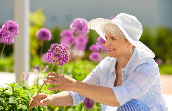 Senior woman with allium flowers at summer garden — Stock Photo, Image