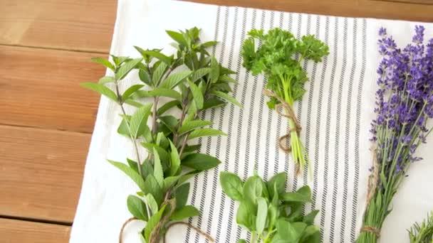 Verduras, especias o hierbas medicinales sobre la mesa — Vídeo de stock