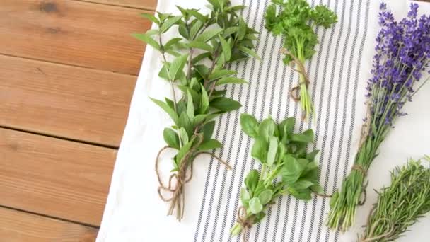 Greens, spices or medicinal herbs on table — Stock Video