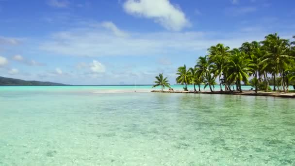 Tropical beach with palm trees and sunbeds — Stock Video