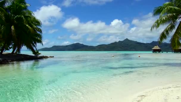 Playa tropical y bungalows en polinesia francesa — Vídeo de stock