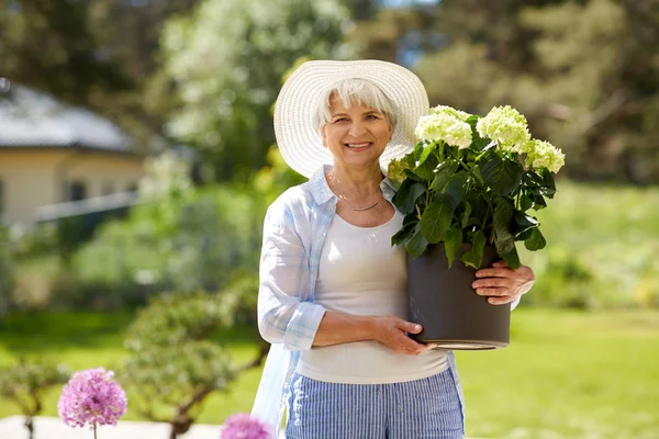 Gammal kvinna med hortensia blomma på sommaren garden — Stockfoto