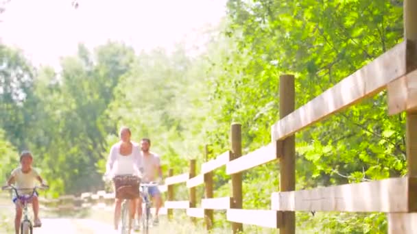 Happy family riding bicycles in summer park — Stock Video