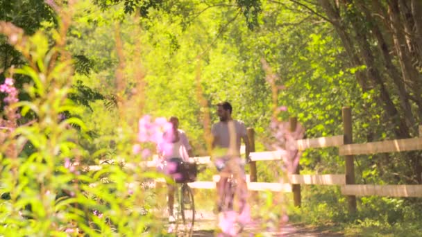 Feliz pareja montando bicicletas en el parque de verano — Vídeos de Stock