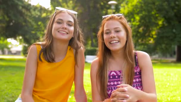 Teenage bloggers recording video blog in park — Stock Video